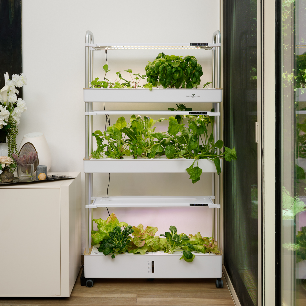 Homegrown Smart Garden