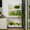 Homegrown Smart Garden