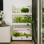 Homegrown Smart Garden