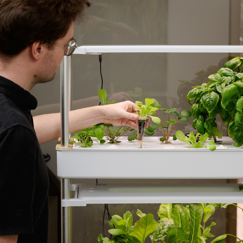 Homegrown Smart Garden