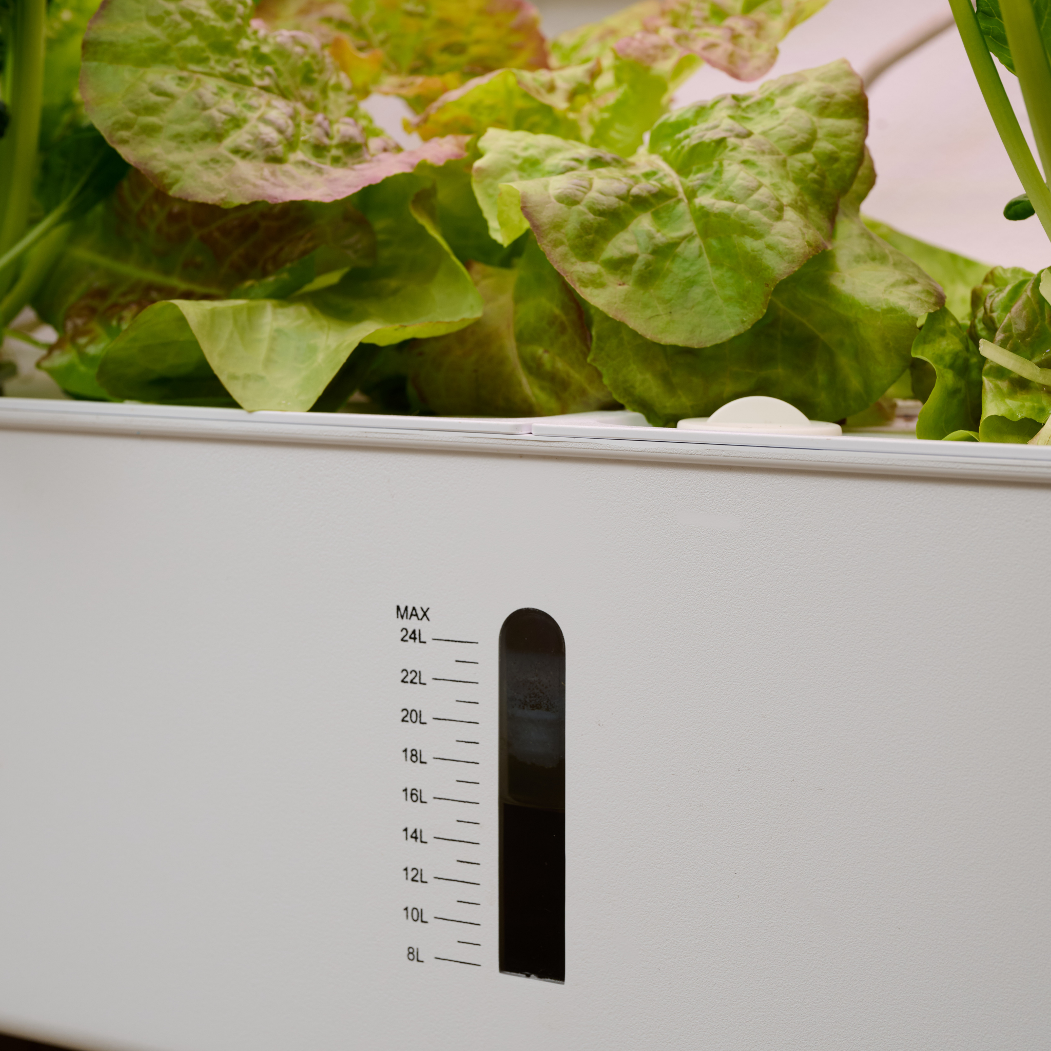 Homegrown Smart Garden